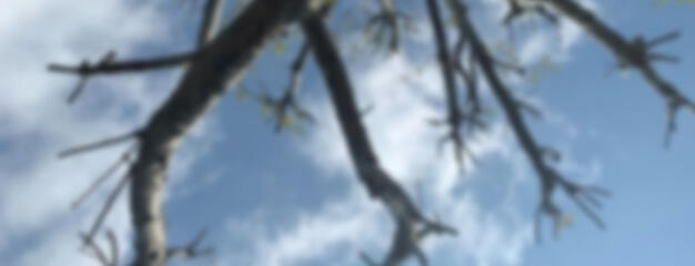 IMPORTANT INFO ABOUT ME